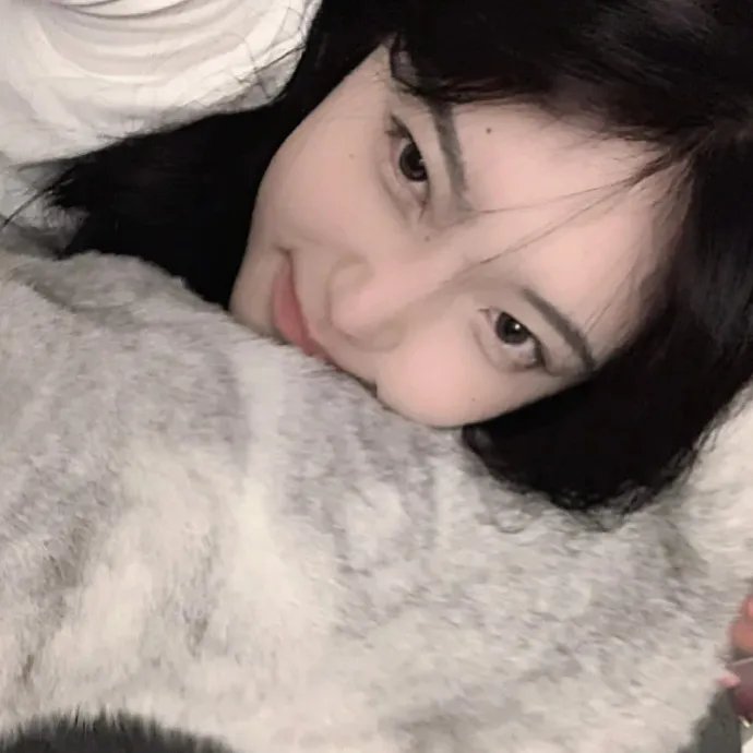 火之鸟772